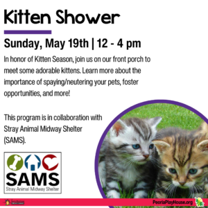 Kitten Shower @ Peoria PlayHouse Children's Museum